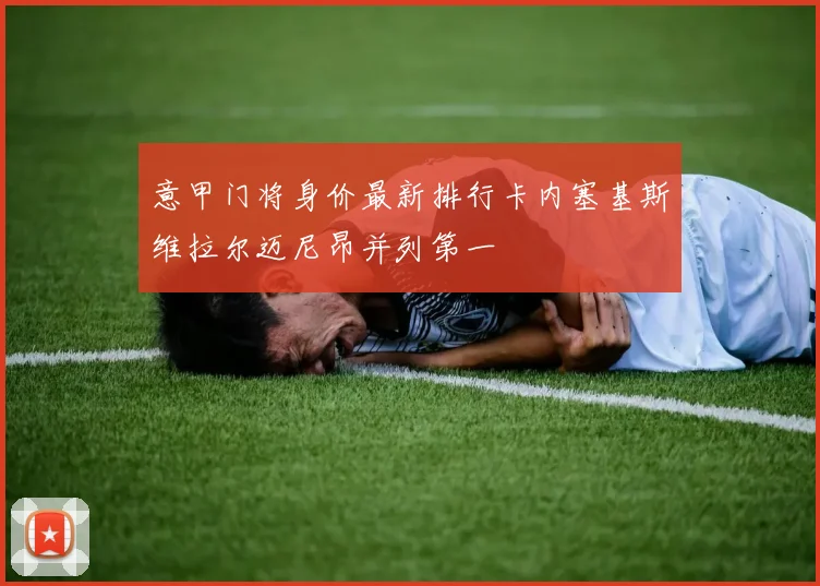 意甲门将身价最新排行卡内塞基斯维拉尔迈尼昂并列第一
