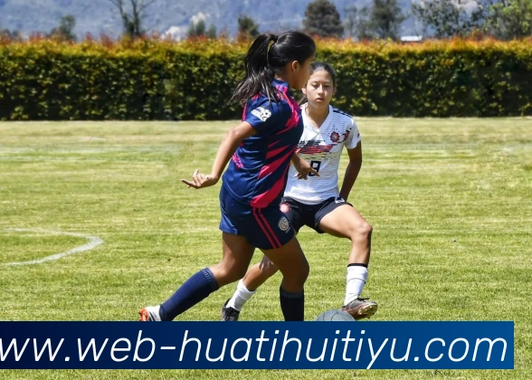 华体会体育品牌故事